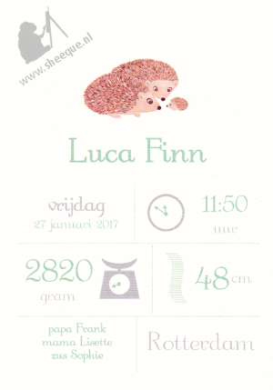 Mijlpalenposter